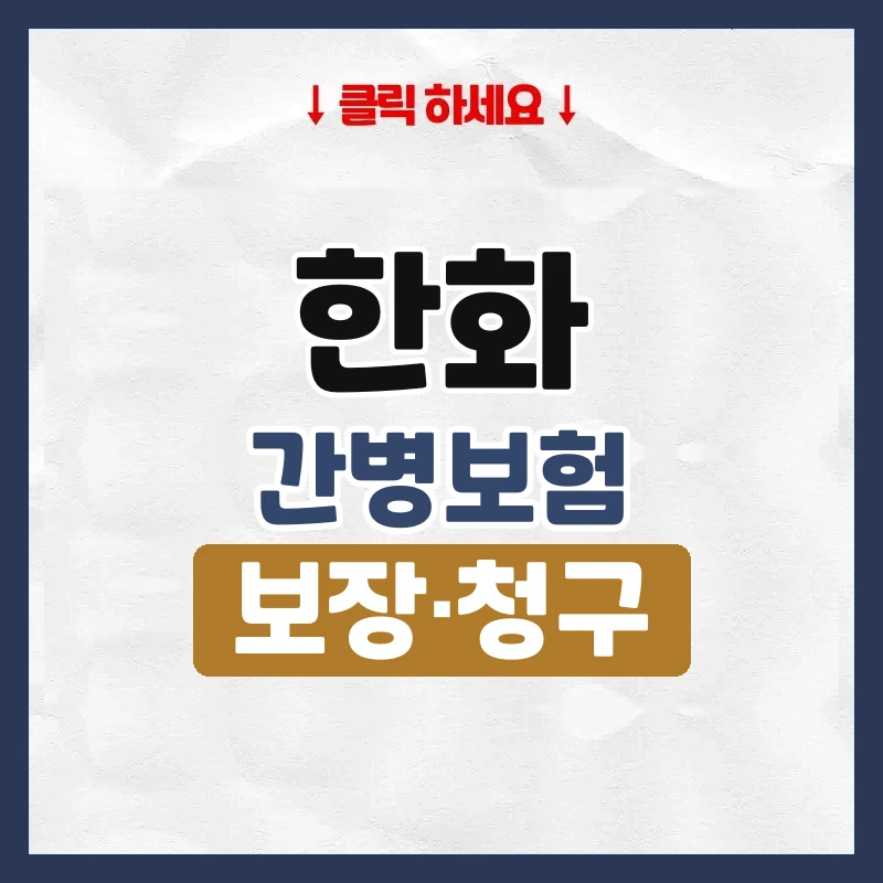 한화간병보험