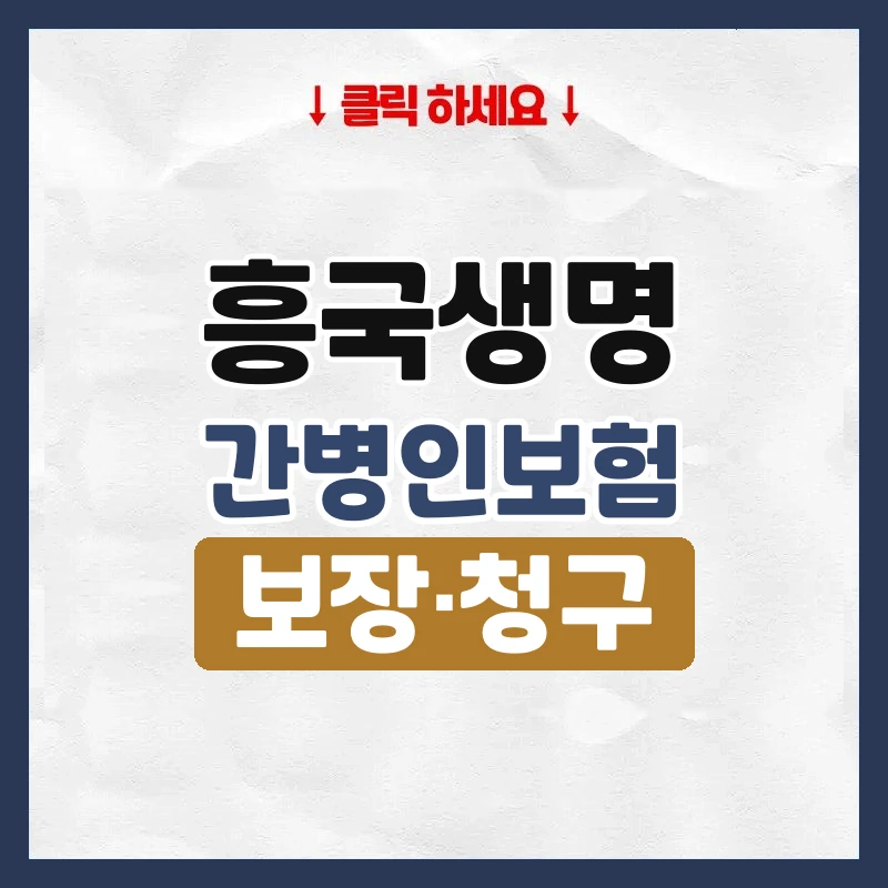 흥국생명간병인보험